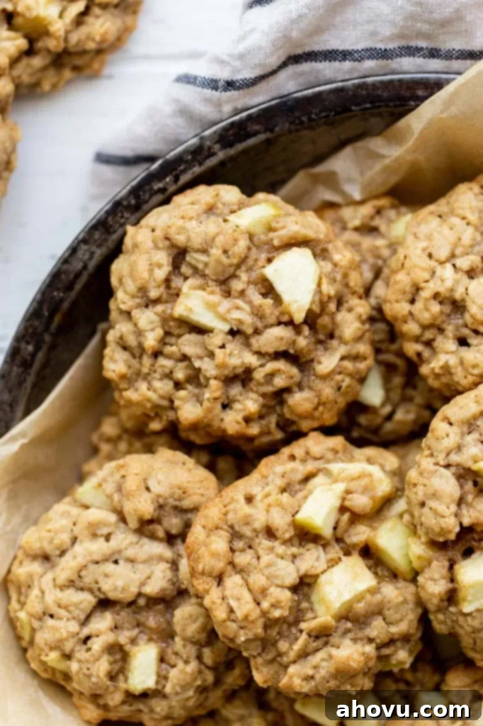 A close up image of perfectly baked apple oatmeal cookies in an antique metal baking dish, showcasing their soft texture and golden-brown edges.