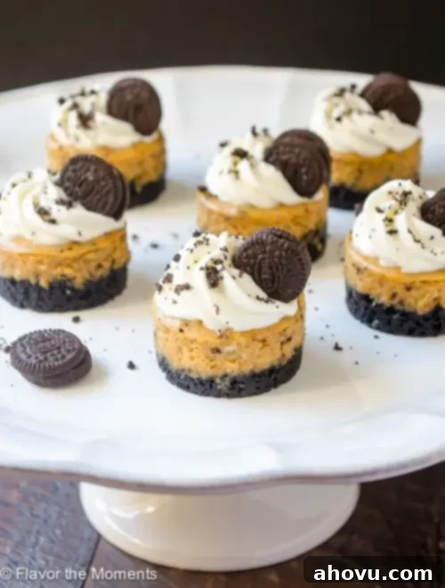 Mini Cookies 'n Cream Pumpkin Cheesecakes