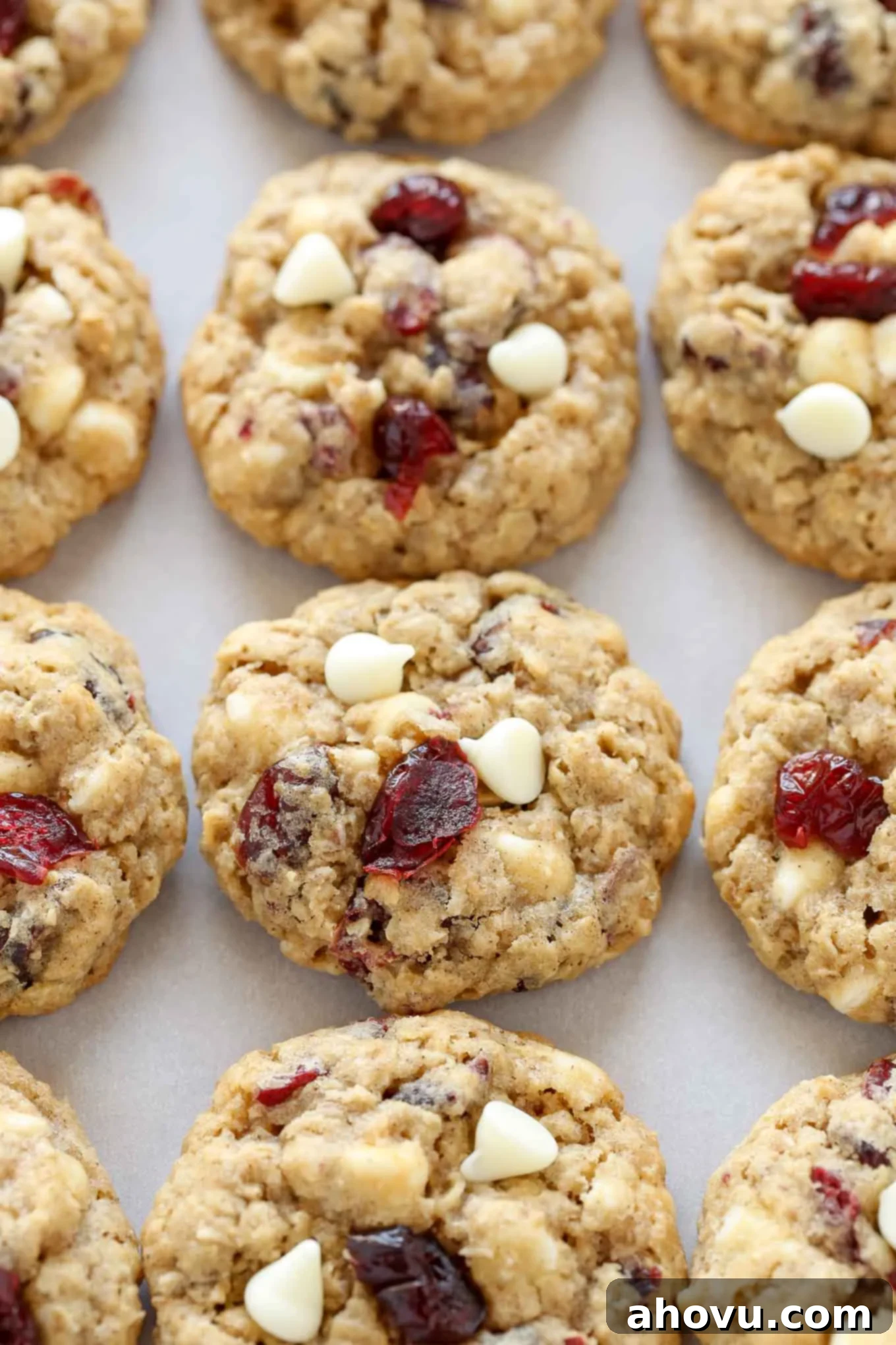 Close up view of perfectly baked white chocolate oatmeal cranberry cookies lined up on a baking sheet, showcasing their soft texture and vibrant additions.