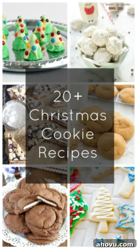 20+ Festive Christmas Cookie Ideas 2 An inviting platter of assorted festive Christmas cookies, ready for holiday celebrations and gifting.