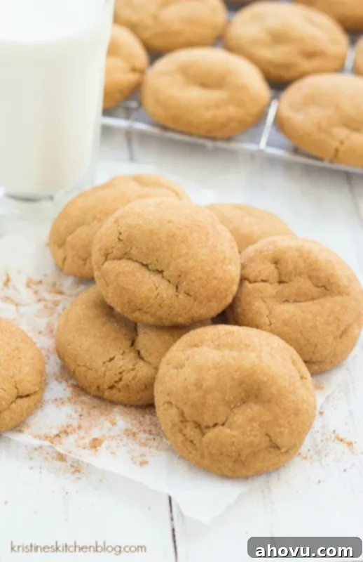 20+ Festive Christmas Cookie Ideas 13 Soft and chewy Gingerdoodle Cookies, a blend of gingerbread and snickerdoodle.