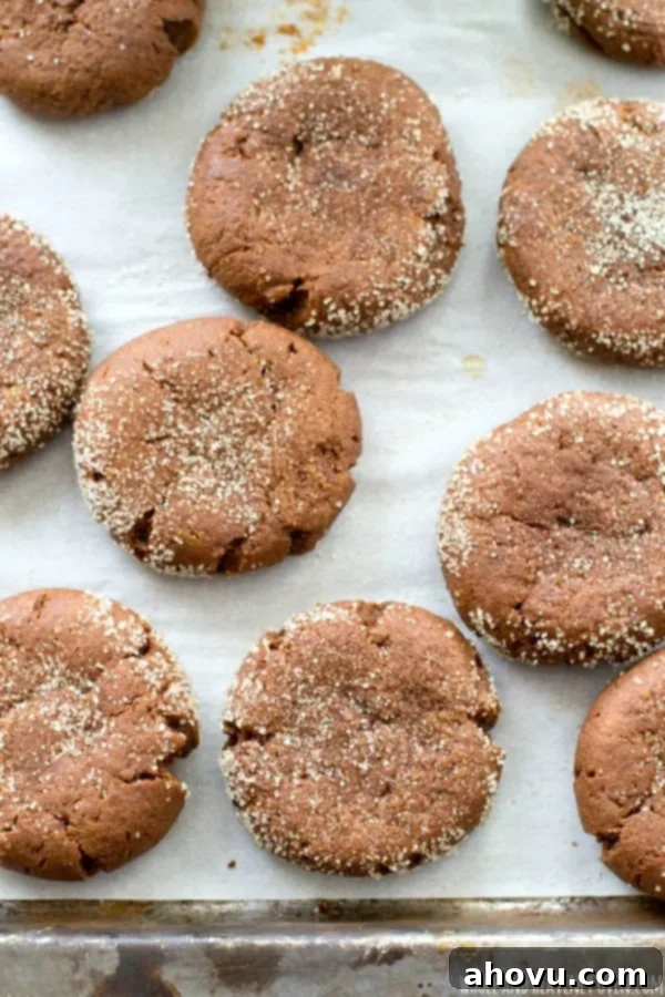 20+ Festive Christmas Cookie Ideas 16 Deliciously moist Brown Sugar Cookies, a simple yet flavorful delight.