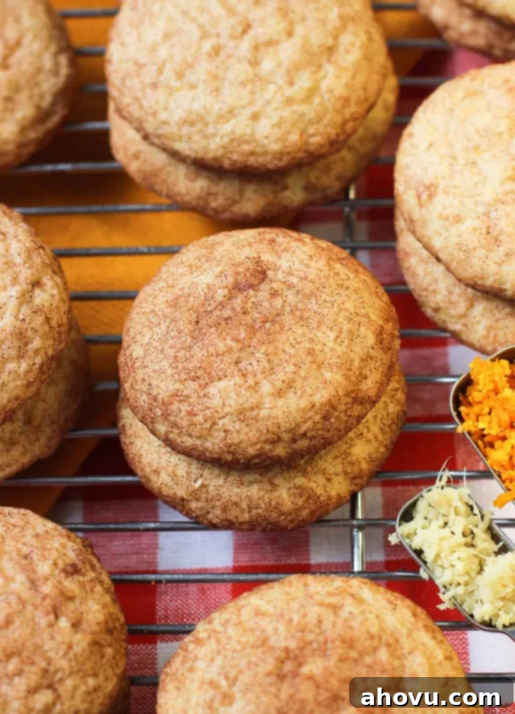 20+ Festive Christmas Cookie Ideas 20 Zesty Orange Ginger Snickerdoodles, a flavorful twist on a classic.
