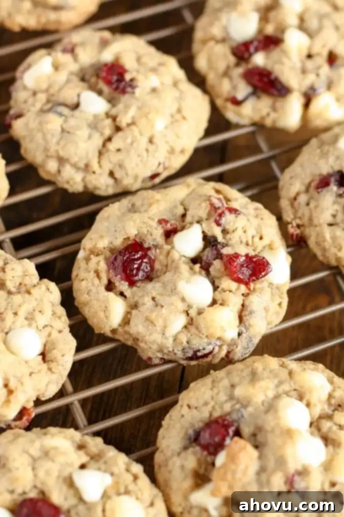 20+ Festive Christmas Cookie Ideas 3 Chewy White Chocolate Cranberry Oatmeal Cookies with festive red and white tones.