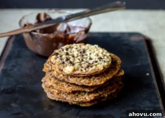 20+ Festive Christmas Cookie Ideas 4 Delicate Lacey Almond Cookies with a beautiful dark chocolate drizzle.
