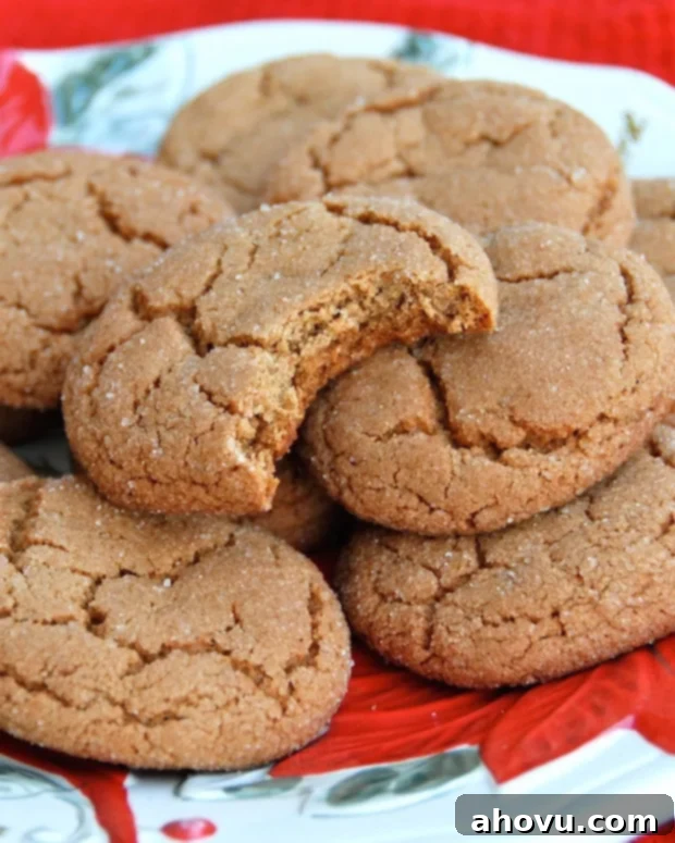 20+ Festive Christmas Cookie Ideas 5 Warm and spicy Ginger Molasses Cookies, a perfect holiday treat.
