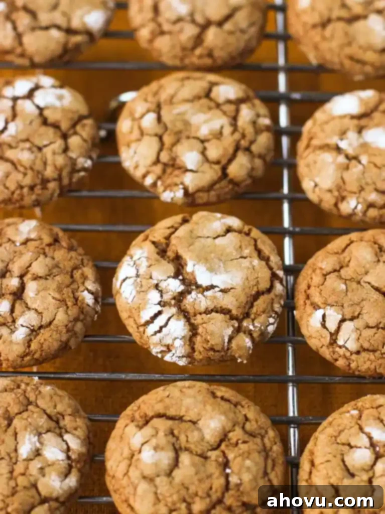 20+ Festive Christmas Cookie Ideas 7 Traditional Pfeffernusse (Spice Cookies) dusted with powdered sugar.