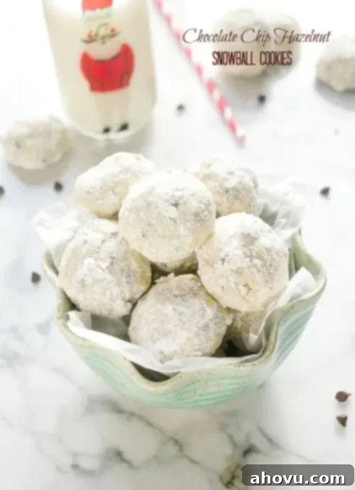 20+ Festive Christmas Cookie Ideas 10 Chocolate Chip Hazelnut Snowball Cookies, dusted with powdered sugar.