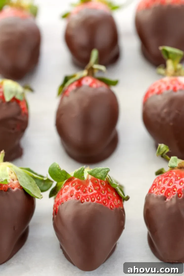Chocolate covered strawberries lined up on a piece of parchment paper.