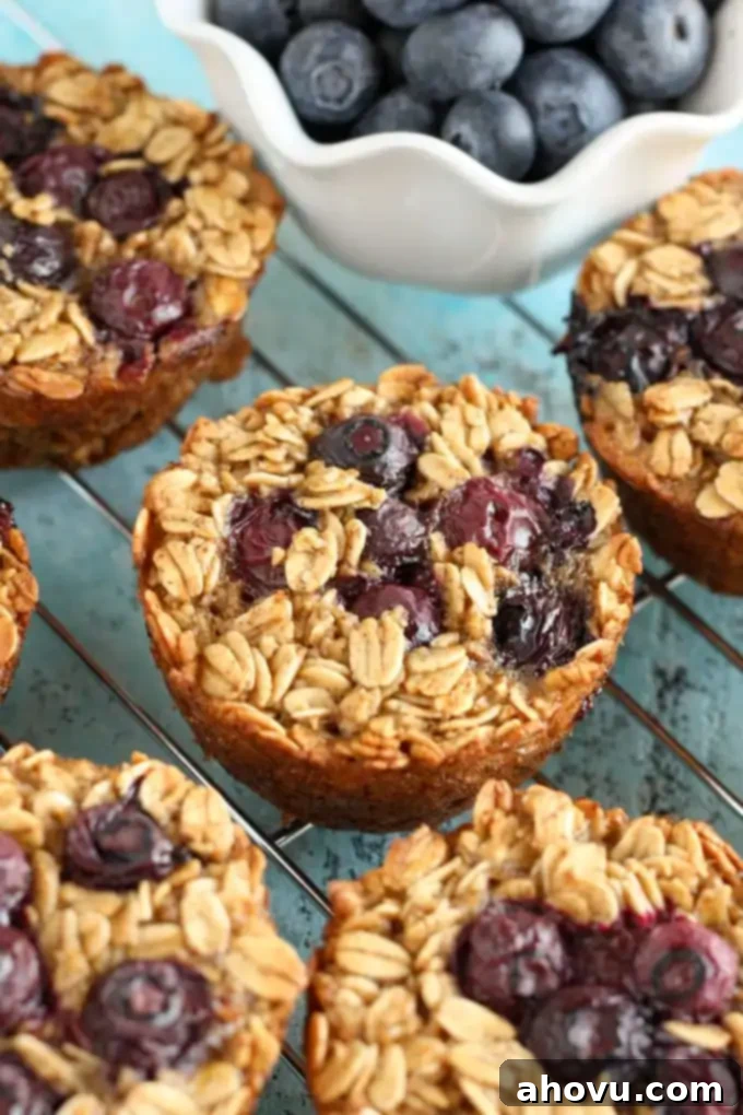 Berry Bliss Baked Oats 3 Freshly baked healthy blueberry baked oatmeal cups cooling on a wire rack, with a bowl of vibrant blueberries on the side.