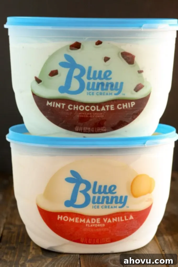 Blue Bunny Mint Chocolate Chip Ice Cream in clear container