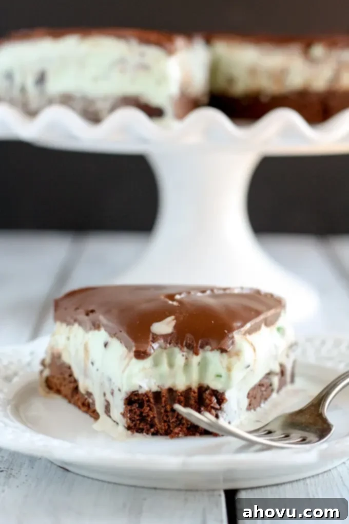Mint Chocolate Chip Ice Cream Brownie Pie with ganache