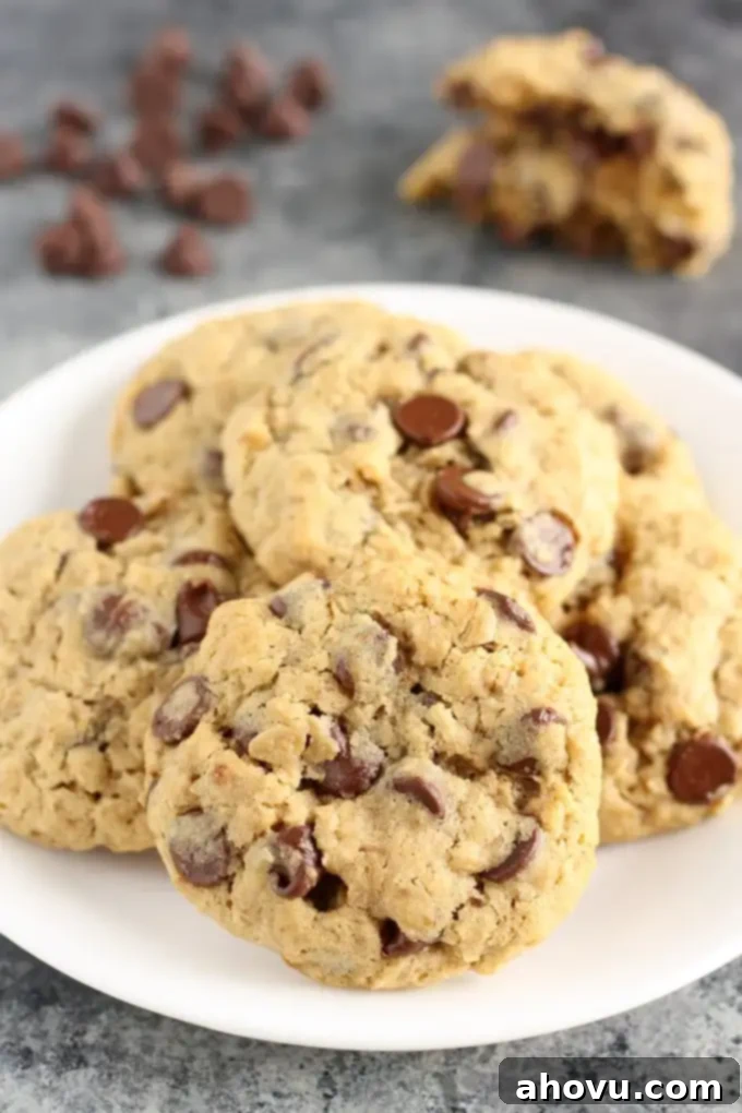 Deliciously chewy Small Batch Oatmeal Chocolate Chip Cookies, fresh from the oven, easy one-bowl recipe ready in 30 minutes.