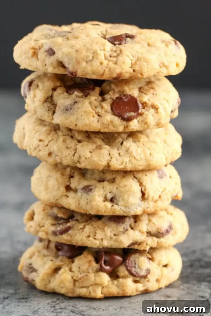Close-up of freshly baked Small Batch Oatmeal Chocolate Chip Cookies, highlighting their rich texture and melty chocolate chips, perfect for a quick and easy dessert.
