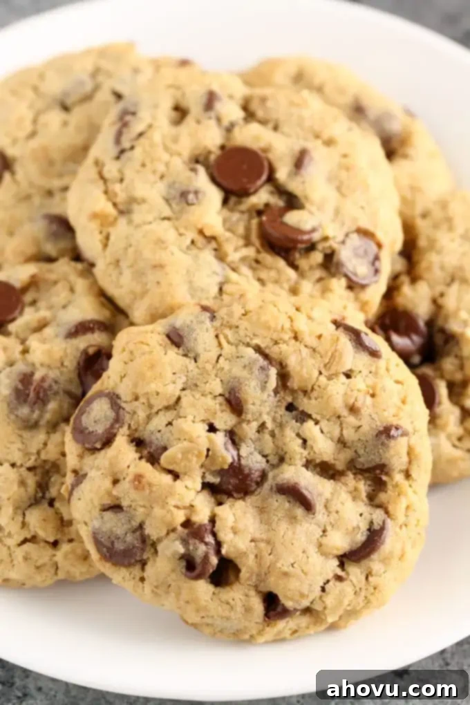 A trio of golden-brown Small Batch Oatmeal Chocolate Chip Cookies, showcasing their appealing texture and how easily they're made in one bowl.