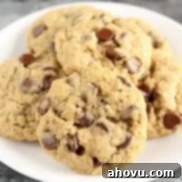 Small Batch Oatmeal Chocolate Chip Cookies