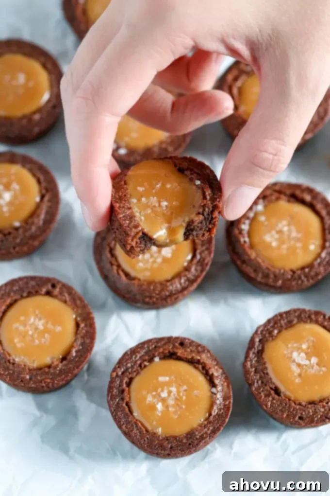 A mini brownie bite being held aloft over other brownie bites. 