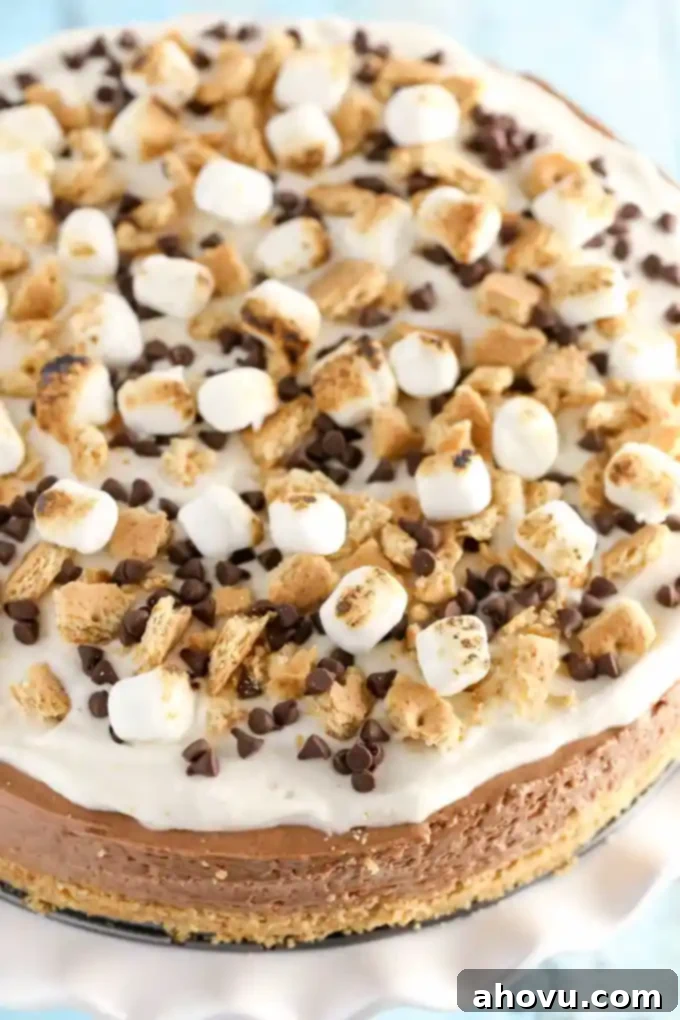 Instant Smores Cheesecake 3 A homemade graham cracker crust topped with a no-bake chocolate cheesecake filling and marshmallow fluff whipped cream. This No-Bake S'mores Cheesecake is the ultimate summer dessert!
