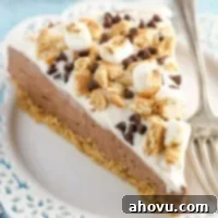 Instant Smores Cheesecake 5 No-Bake S'mores Cheesecake with toasted marshmallows and chocolate drizzle