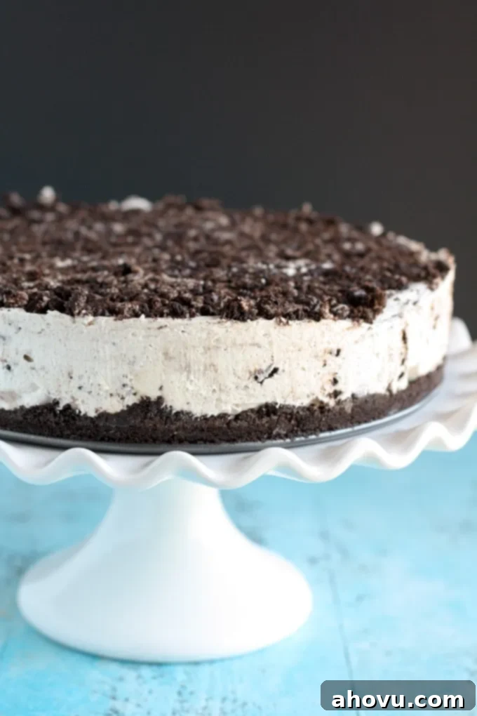 Instant Smores Cheesecake 7 No-Bake Oreo Cheesecake