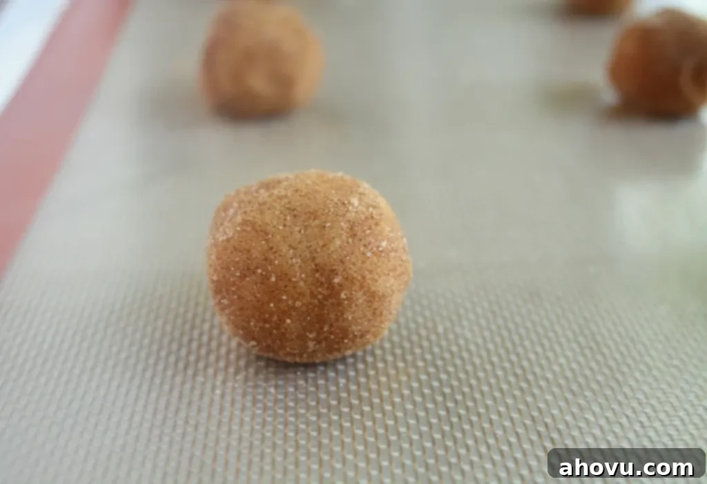 Caramel Snickerdoodle Cookie Dough Balls Rolled in Cinnamon Sugar