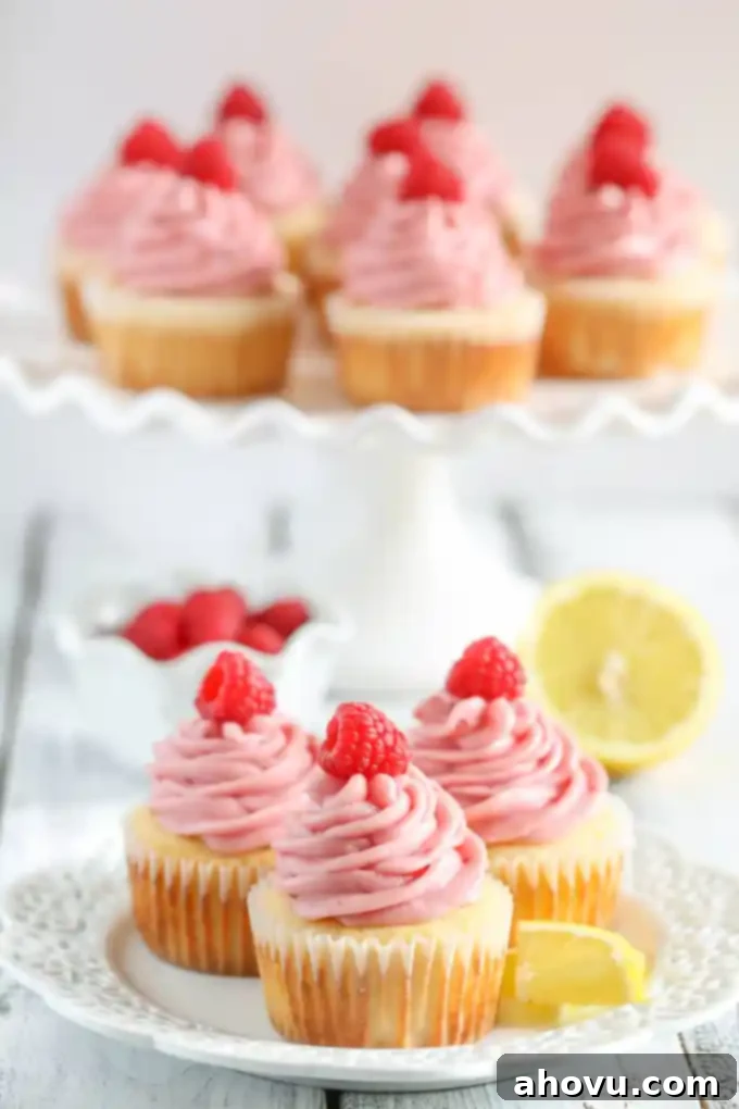 Lemon cupcakes topped with raspberry frosting and fresh raspberries on a white plate. More cupcakes rest on a cake stand in the background. 