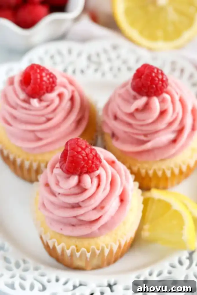 Top view of lemon cupcakes topped with raspberry buttercream and fresh raspberries on a white plate. 