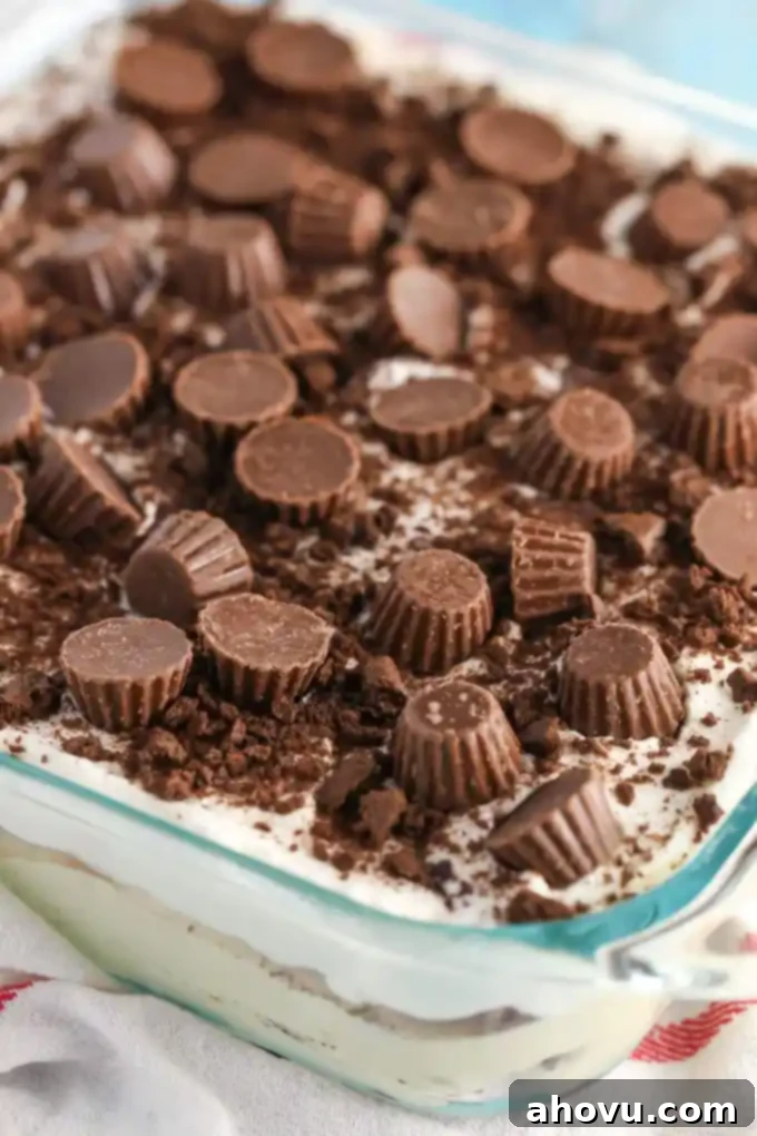 A stunning top-down view of a no-bake chocolate graham cracker icebox cake, perfectly assembled in a clear glass baking dish. The distinct layers of dark chocolate graham crackers, rich peanut butter filling, and creamy whipped topping are visible, adorned with mini peanut butter cups and crushed graham cracker crumbs, ready for chilling.