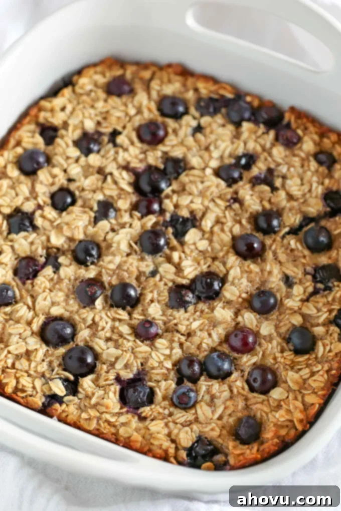 A close-up of baked oatmeal studded with vibrant blueberries in a white baking dish, ready to be served for a healthy breakfast.