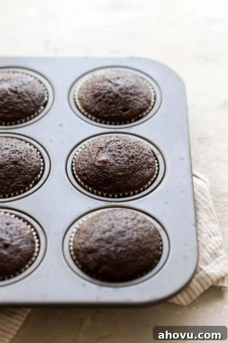 A muffin pan holding baked cupcakes on a rustic surface.