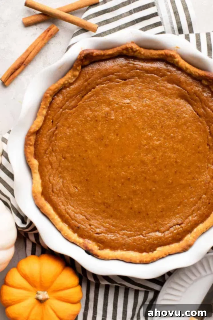 Spiced Pumpkin Perfection 2 An overhead view of a homemade pumpkin pie in a white pie plate, beautifully garnished with a mini pumpkin and cinnamon sticks, showcasing its golden-brown crust and smooth filling.