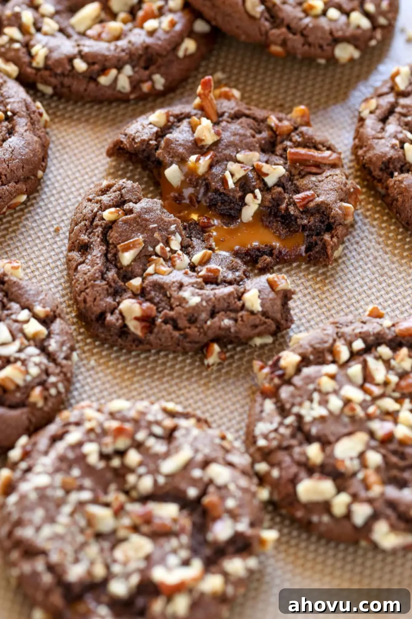 A close up view of chocolate turtle cookies on a baking sheet. 