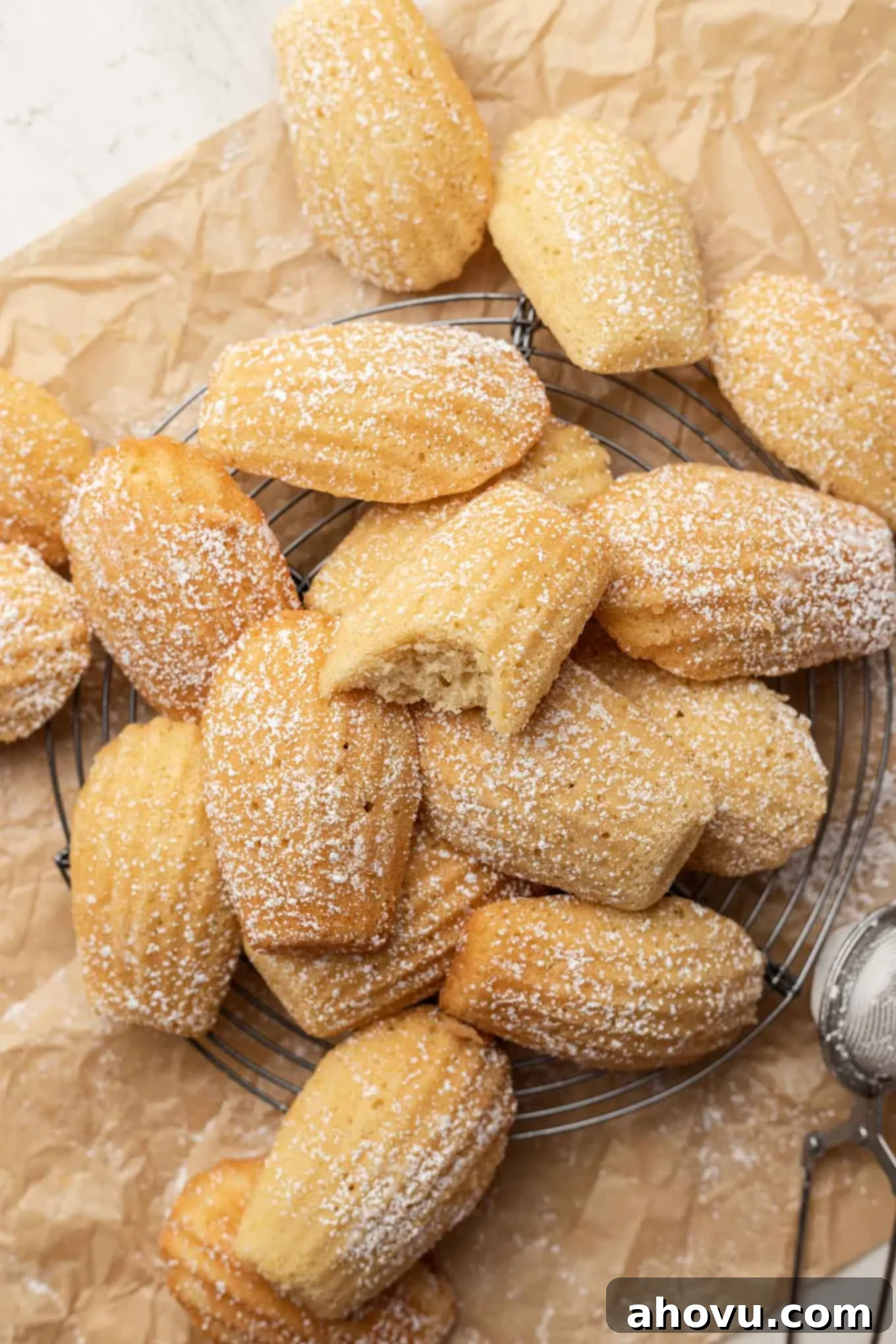Golden Madeleines 6 An overhead view of delicate madeleine cookies dusted with powdered sugar.