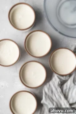Prepared panna cotta mixture in ramekins, seen from above.