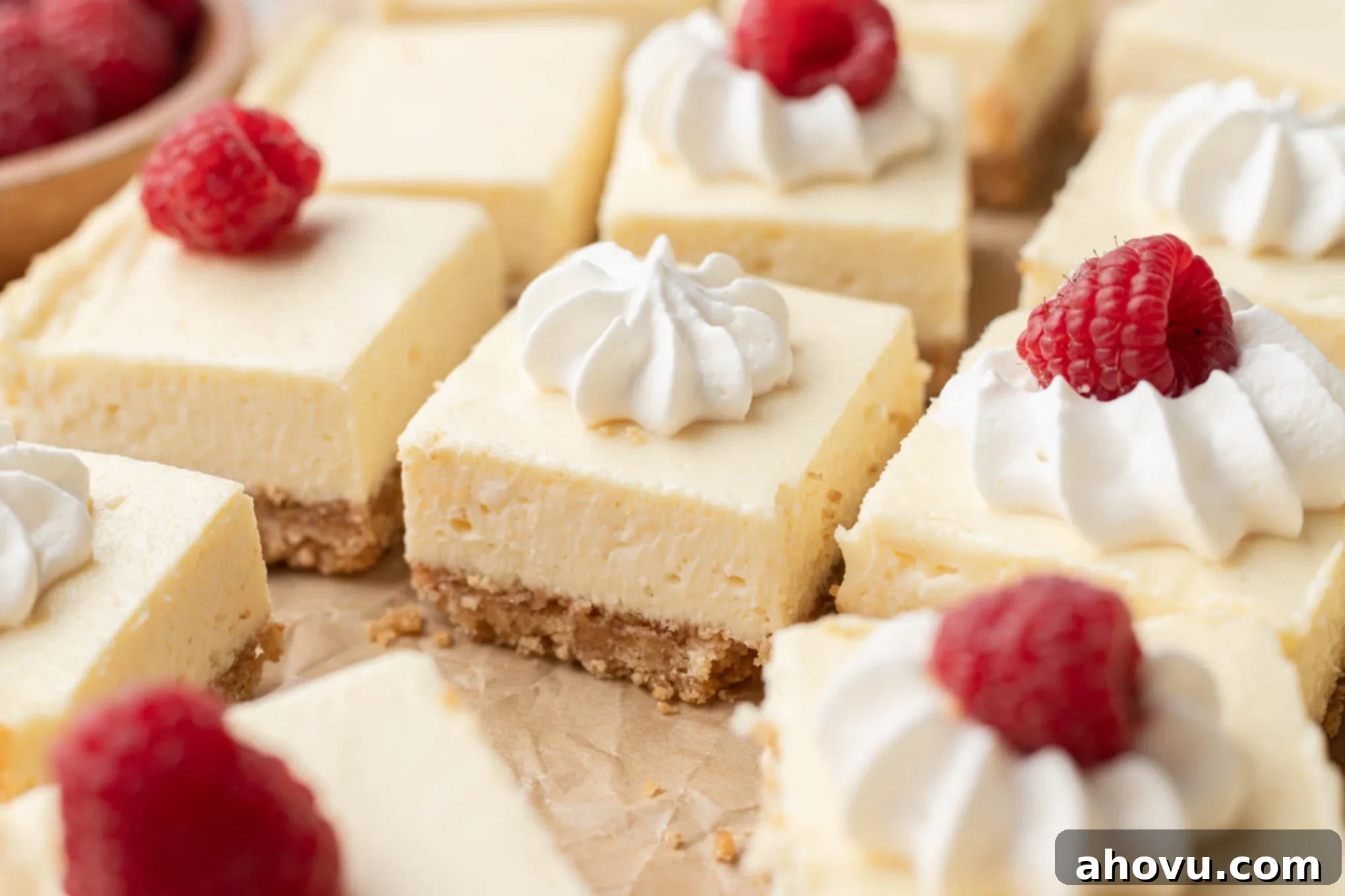 Creamy Cheesecake Squares 12 Several cheesecake bars topped with whipped cream and a fresh raspberry.
