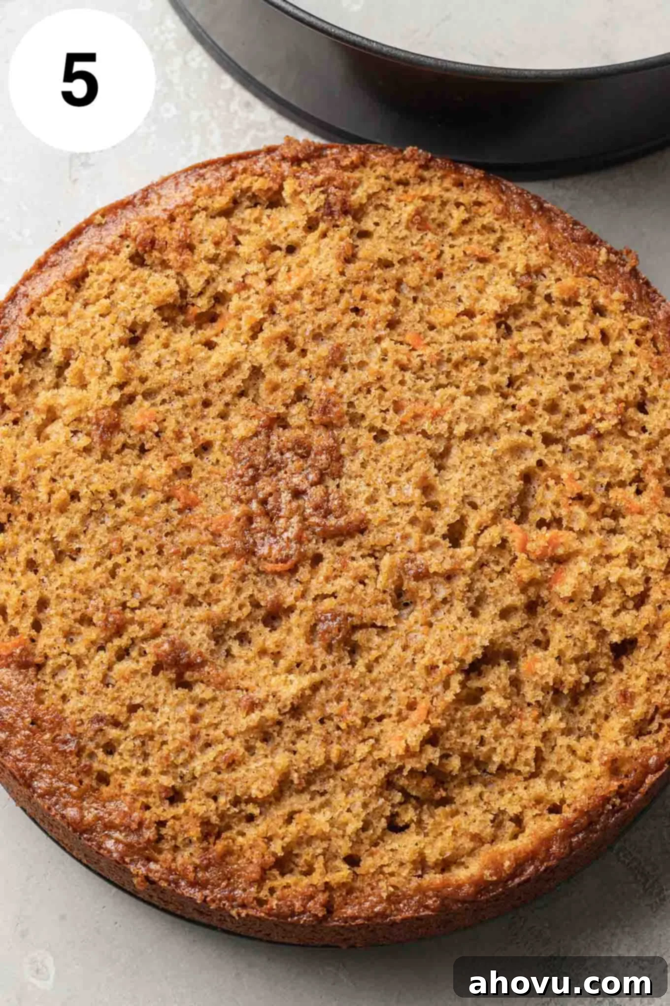 An overhead view of a baked carrot cake base that has been leveled on top, ready for the cheesecake layer.