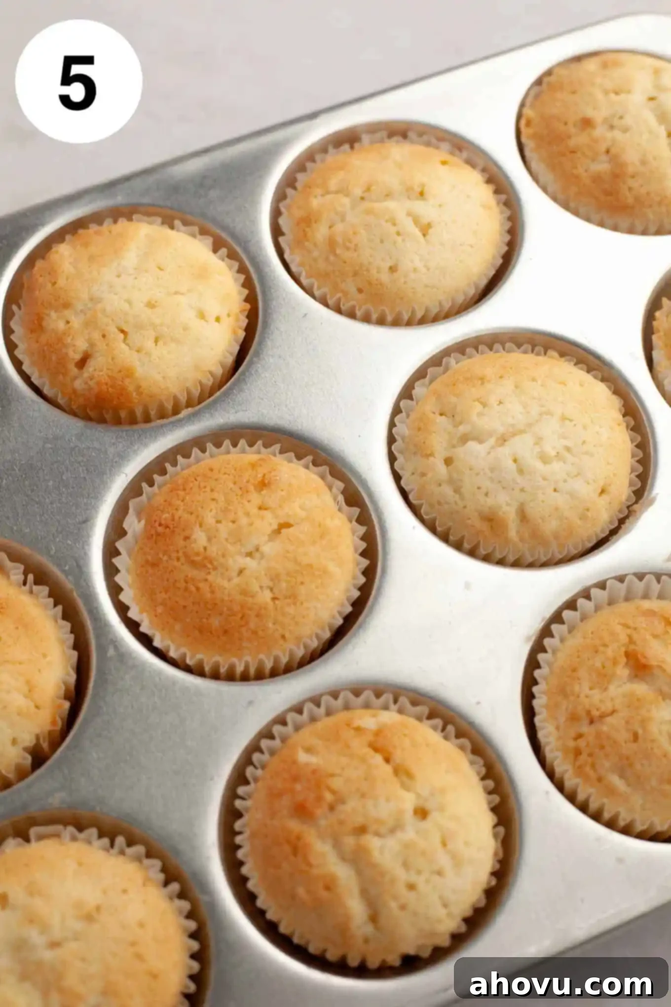 A tray of freshly baked, unfrosted coconut cupcakes resting in a cupcake pan, cooling down.