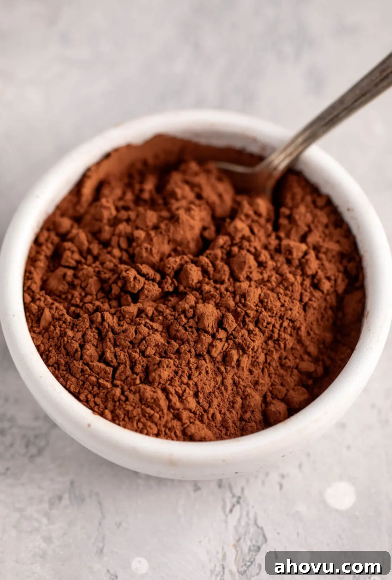 Dutch-process cocoa powder inside of a white bowl with a spoon in it.