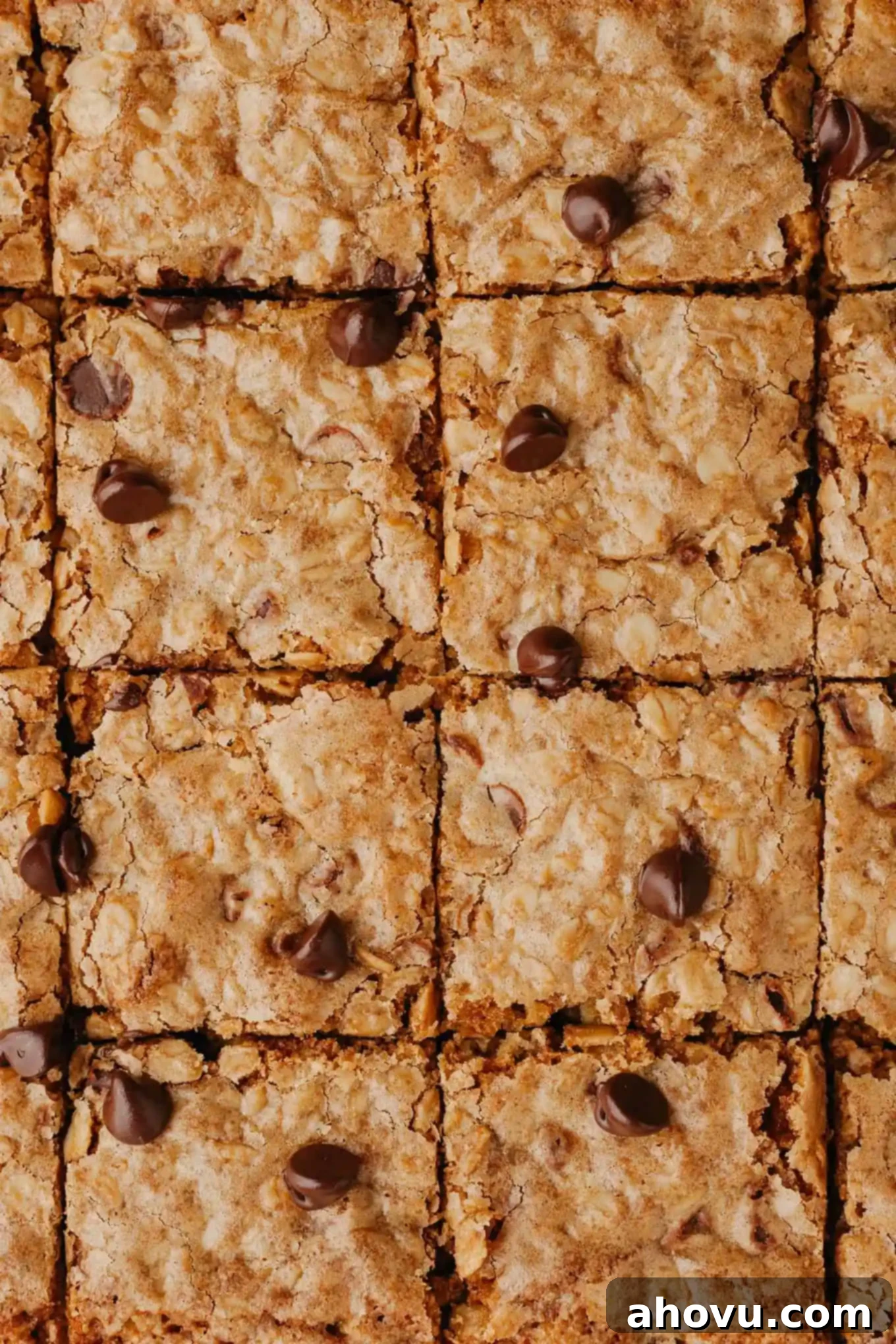 A close-up, overhead view of perfectly sliced oatmeal cookie bars still cooling in the pan, showcasing their generous chocolate chips.
