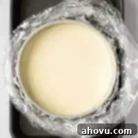 Your Guide to a Perfect Cheesecake Water Bath 13 A square image of a springform pan wrapped in foil and an oven bag. The pan is inside of a larger roasting pan filled with water.