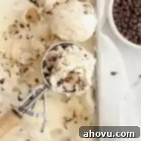 An overhead view of cookie dough ice cream with a scoop of ice cream resting on top.