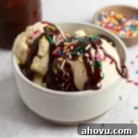 A bowl of ice cream topped with hot fudge sauce and sprinkles, showcasing the perfect dessert presentation.