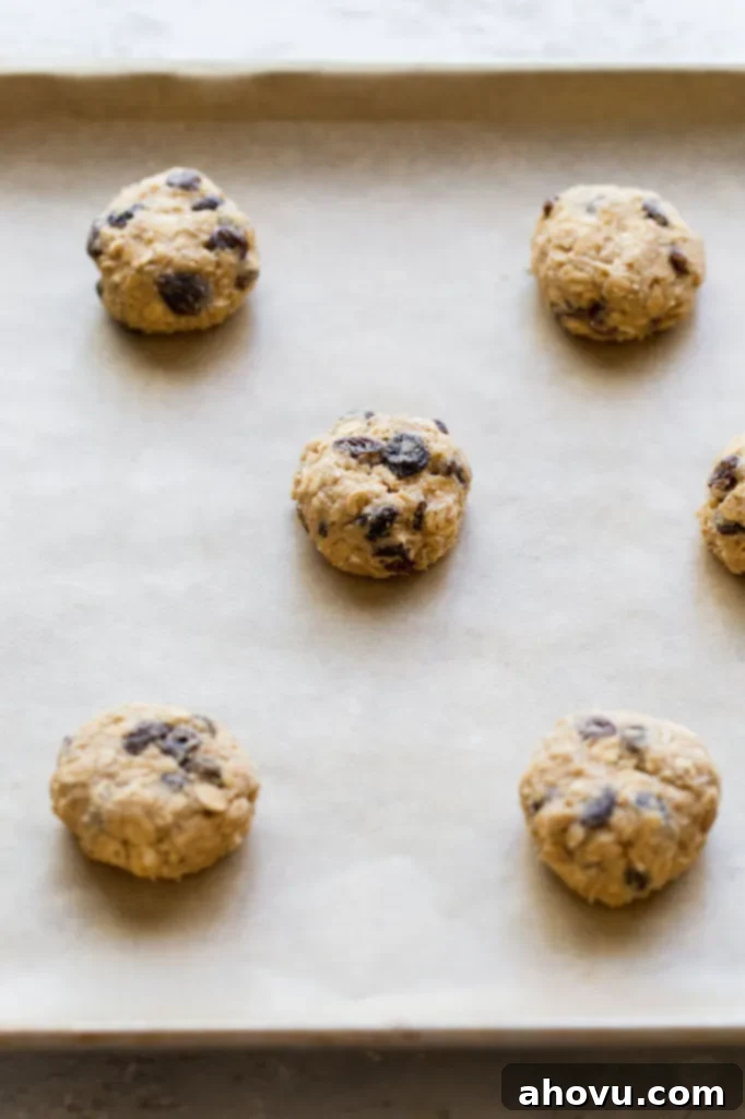 A baking sheet is perfectly lined with parchment paper, holding evenly spaced, slightly flattened balls of oatmeal raisin cookie dough, ready for baking.