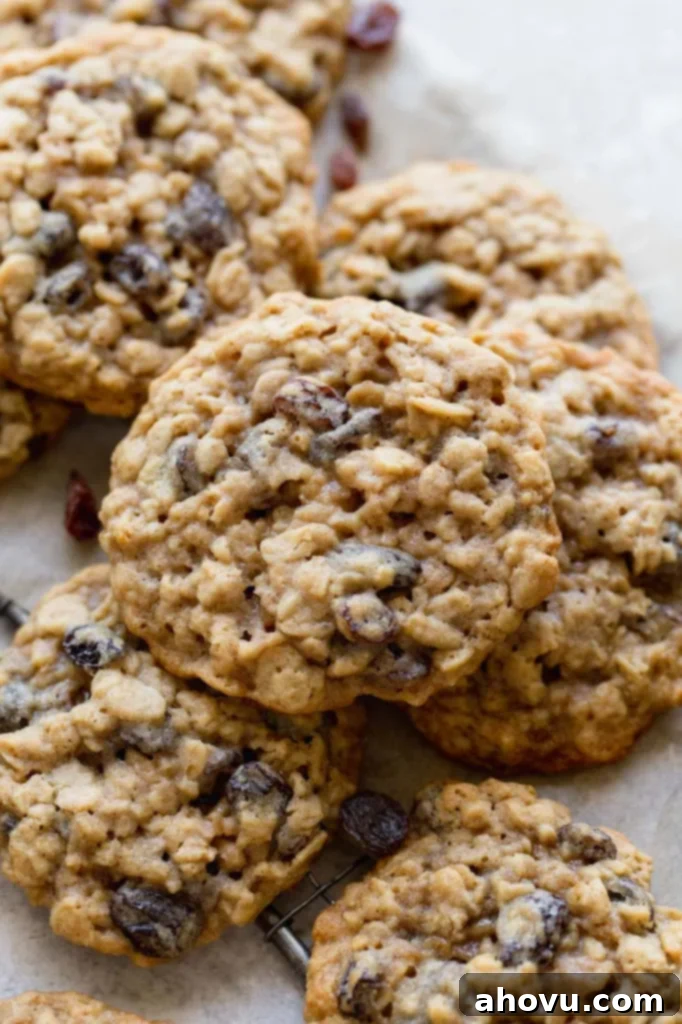 Several freshly baked, golden oatmeal raisin cookies artfully arranged on a piece of parchment paper, highlighting their perfect texture and delicious appearance.