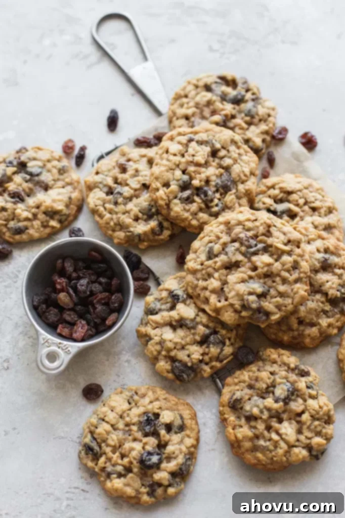 A beautifully arranged batch of freshly baked oatmeal raisin cookies rests on a small cooling rack, surrounded by scattered loose raisins, inviting viewers to indulge.