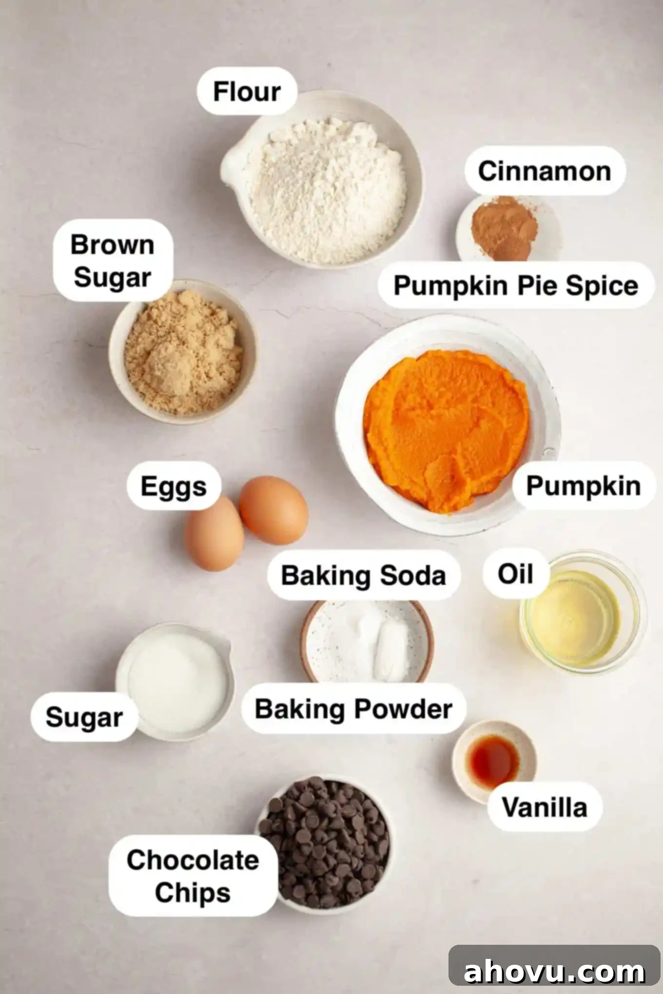 Cozy Pumpkin Chocolate Morsel Muffins 3 An overhead view of the ingredients needed for the muffins.