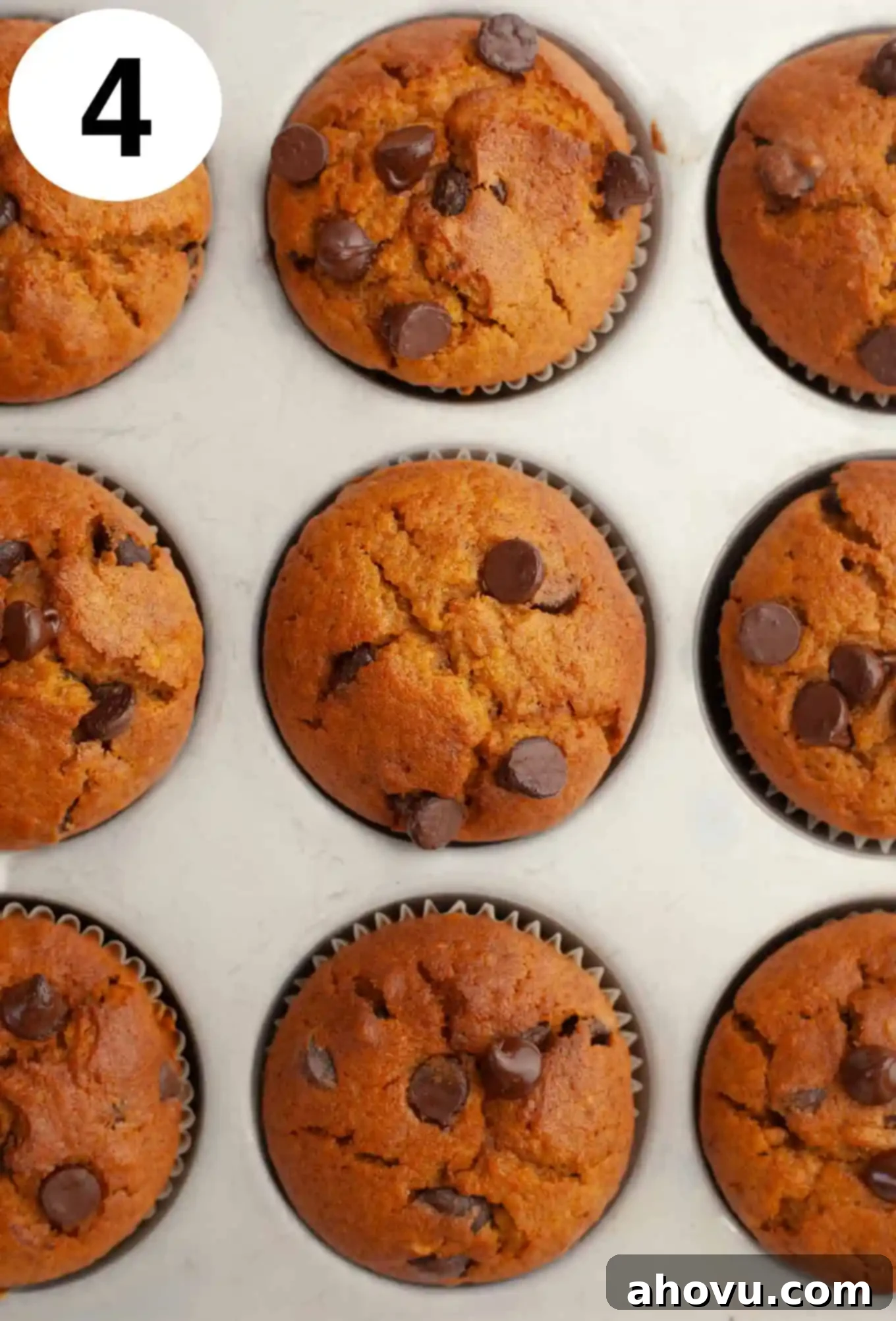 Cozy Pumpkin Chocolate Morsel Muffins 7 An overhead view of a baked spiced pumpkin chocolate chip muffins in a muffin pan.
