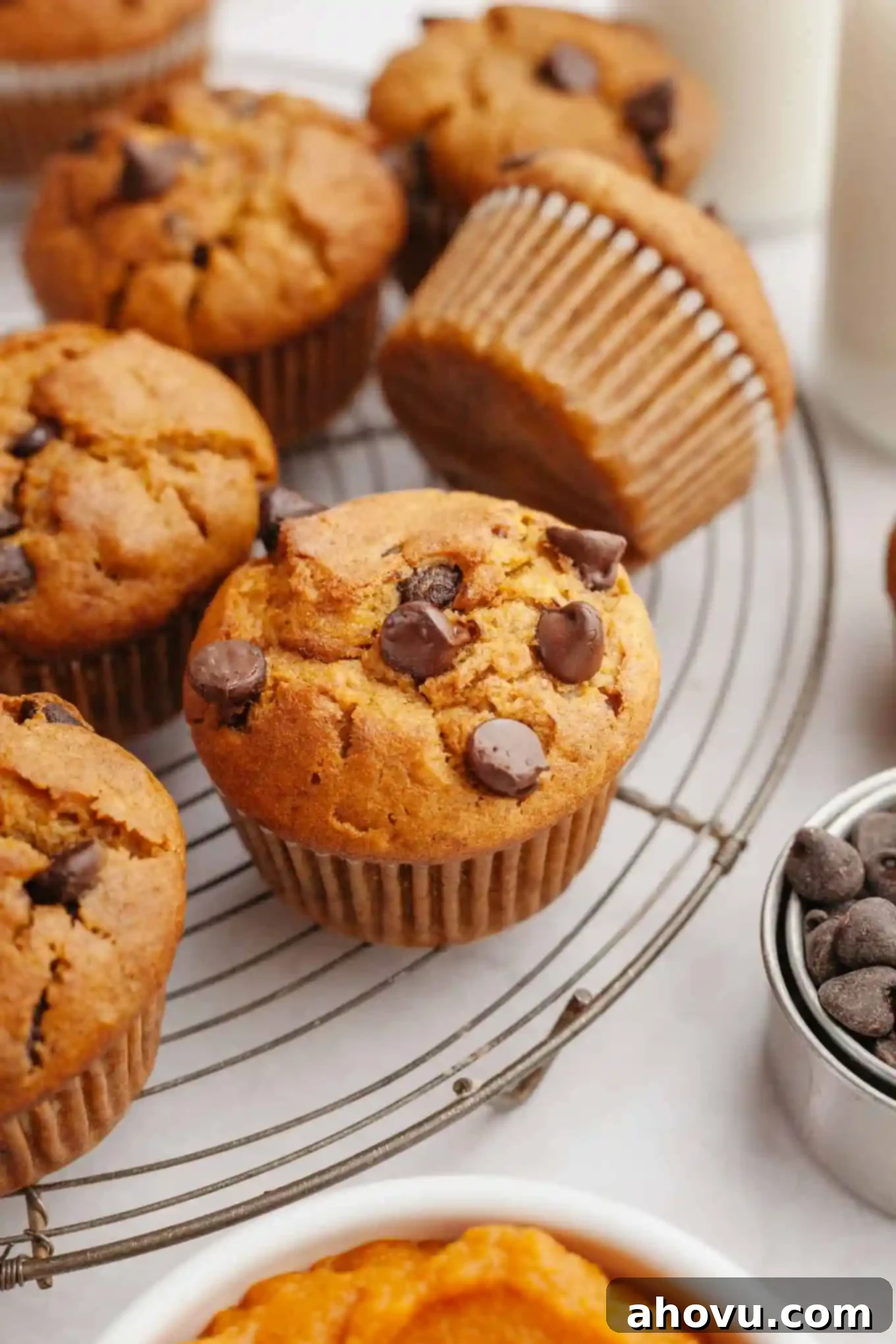 Cozy Pumpkin Chocolate Morsel Muffins 8 Chocolate chip pumpkin muffins cooling on a wire rack.