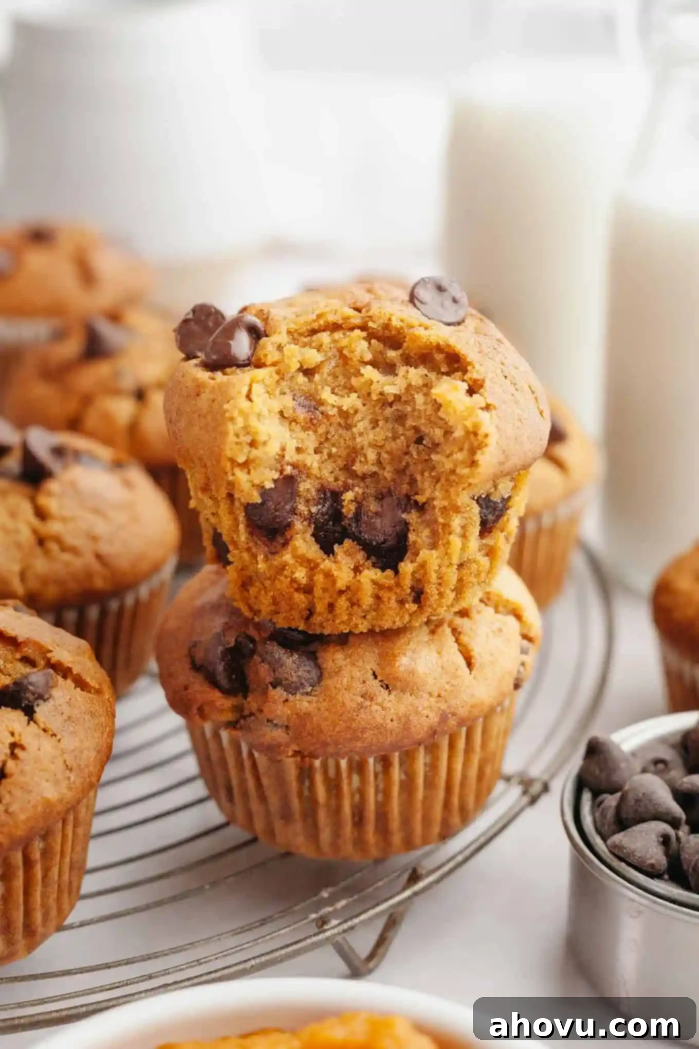 Cozy Pumpkin Chocolate Morsel Muffins 9 Chocolate chip pumpkin muffins on a wire rack. Two muffins have been stacked, and the top muffin is missing a bite.