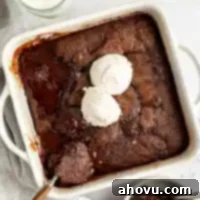 Decadent Chocolate Pudding Cake 12 A chocolate pudding cake topped with ice cream.